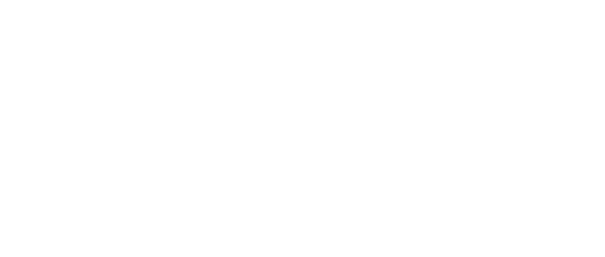 Fenn Collection